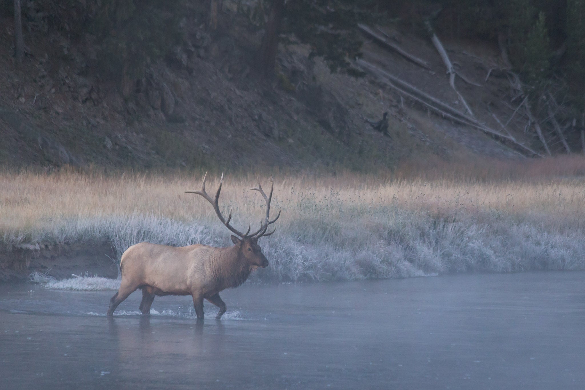 Yellowstone Fall - 2025